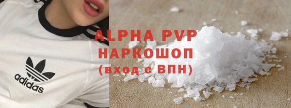 ECSTASY Богородицк