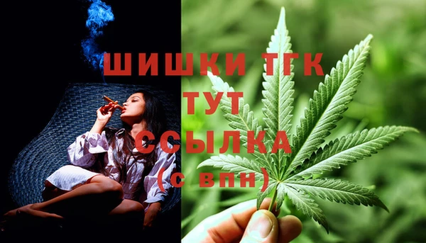 ECSTASY Богородицк