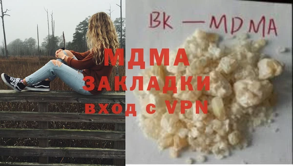 прущие грибы Богданович