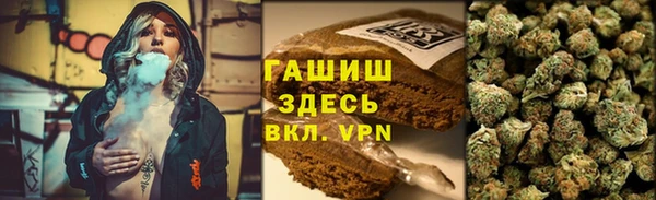 ECSTASY Богородицк