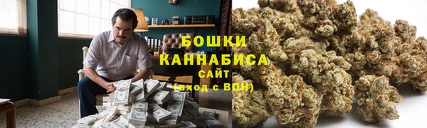 ECSTASY Богородицк